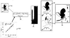 Figure P1020167018243