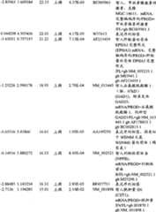 Figure BPA00001280678300591