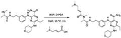 Figure imgf000243_0002