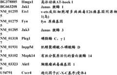 Figure BDA0000057170160002181