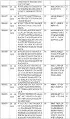 Figure BDA0002572923940000841