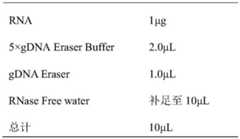 Figure GDA0003764657900000061