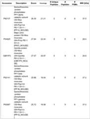 Figure imgf000044_0001