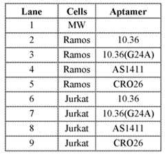 Figure imgf000314_0001