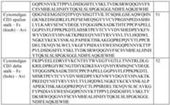 Figure imgf000108_0001