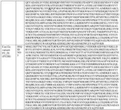 Figure imgf000027_0001