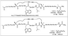 Figure BDA0002963300720001211