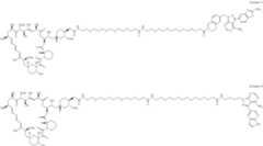 Figure US12048749-20240730-C00358