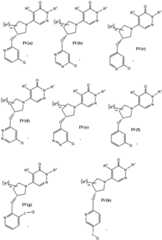 Figure FDA0004010263220000131