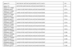 Figure imgf000340_0001