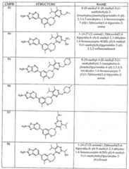Figure imgf000161_0001