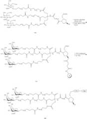 Figure US09181550-20151110-C00330