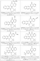 Figure 2025513455000035