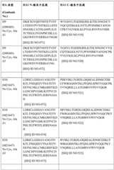 Figure BDA0004089703340001761