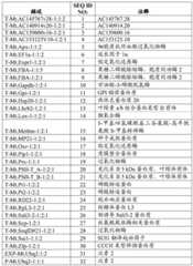 Figure BDA0003858538280000231