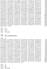 Figure IDA0002536600790000451