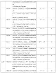 Figure imgf000115_0001