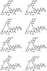 Figure imgf000005_0001