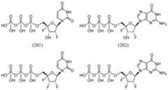 Figure imgf000027_0003