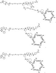 Figure BDA0002889616220001071