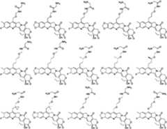 Figure PCTCN2022073822-appb-000381