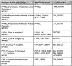 Figure imgf000003_0001