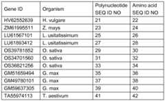 Figure imgf000005_0001