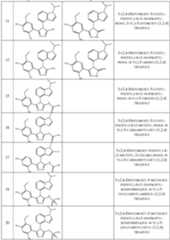 Figure imgf000032_0001