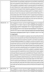 Figure BDA0002742983620000291