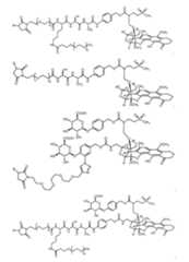 Figure imgf000143_0001