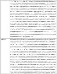 Figure imgf000363_0001