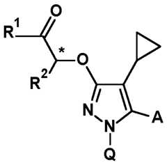 Figure imgf000012_0001