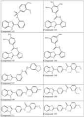 Figure imgf000031_0001