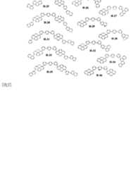 Figure imgf000012_0001