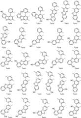 Figure FDA0001964607630000181