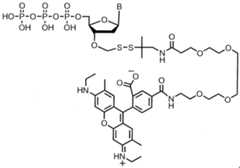 Figure imgf000247_0002
