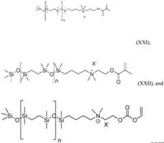 Figure imgf000021_0001