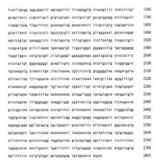 Figure 108131991-A0202-12-0199-906