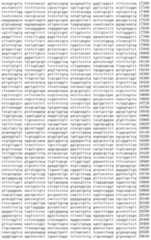 Figure IDA00002091897100271