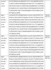 Figure imgf000264_0001