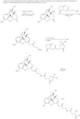 Figure US10226456-20190312-C00895