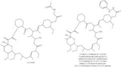 Figure US08101650-20120124-C00025