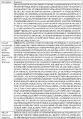 Figure imgf000130_0001