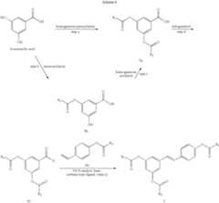 Figure US08841477-20140923-C00020