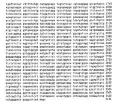 Figure 104109152-A0305-02-0131-10