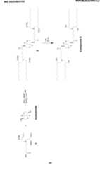 Figure imgf000182_0001