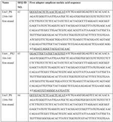 Figure imgf000046_0001