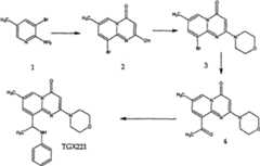 Figure A20081009557300461