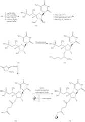 Figure US09738895-20170822-C00104