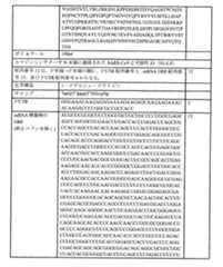 Figure 0007438604000093